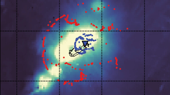 Heute.at - Schwebende Insel – Rätsel von Bermuda gelöst