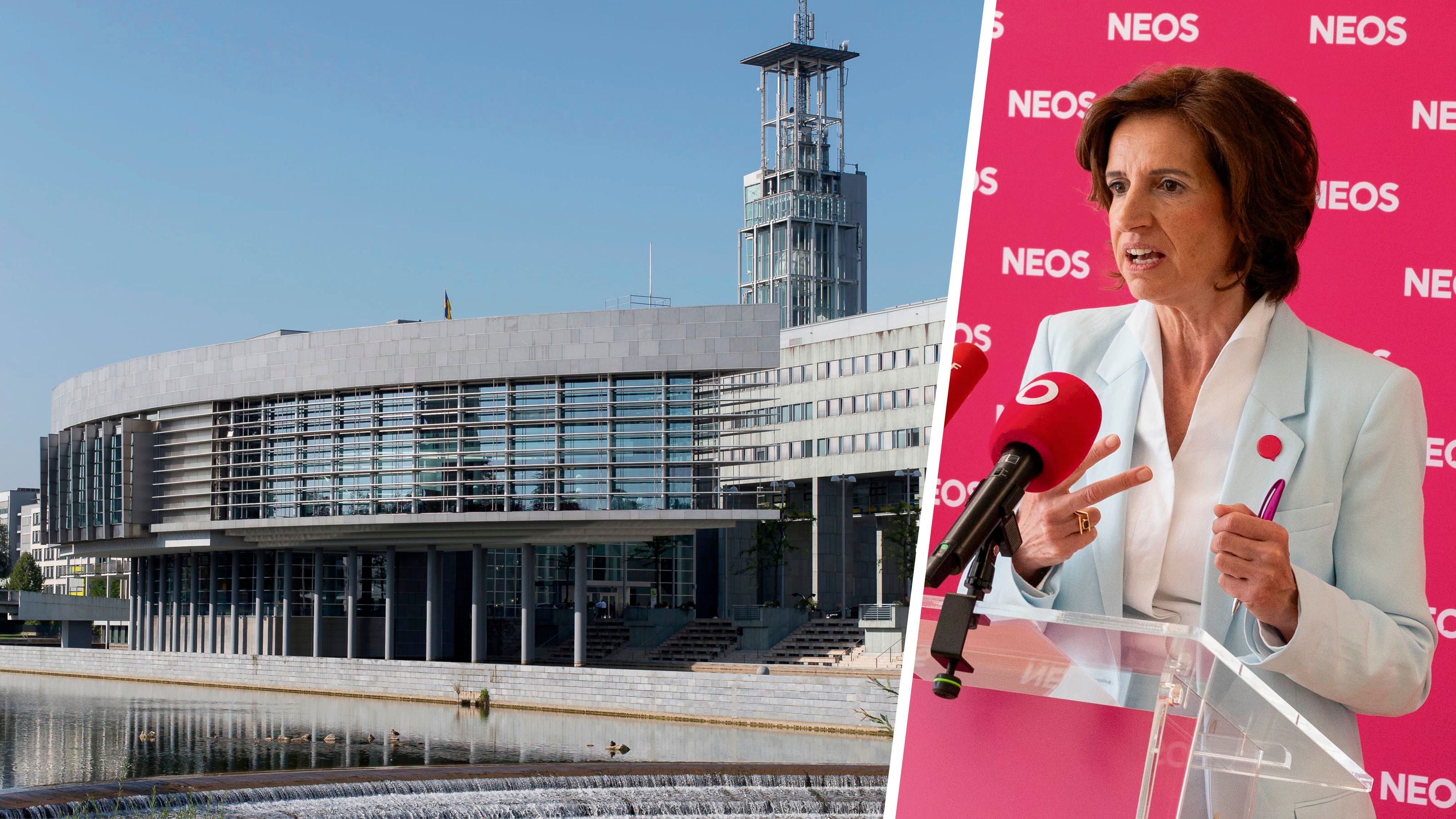 Heute.at - Neos für Reform: Nur jeden 2. Beamten nachbesetzen