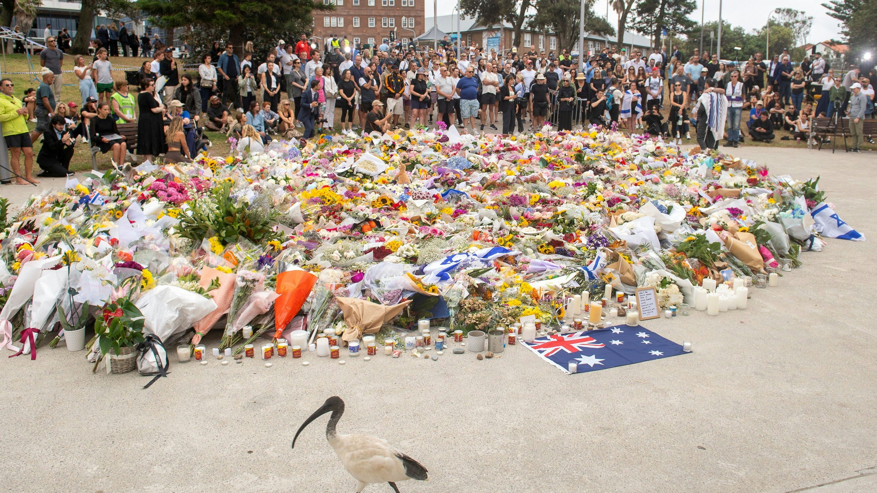 Heute.at - Terror in Sydney – Neun Opfer in kritischem Zustand