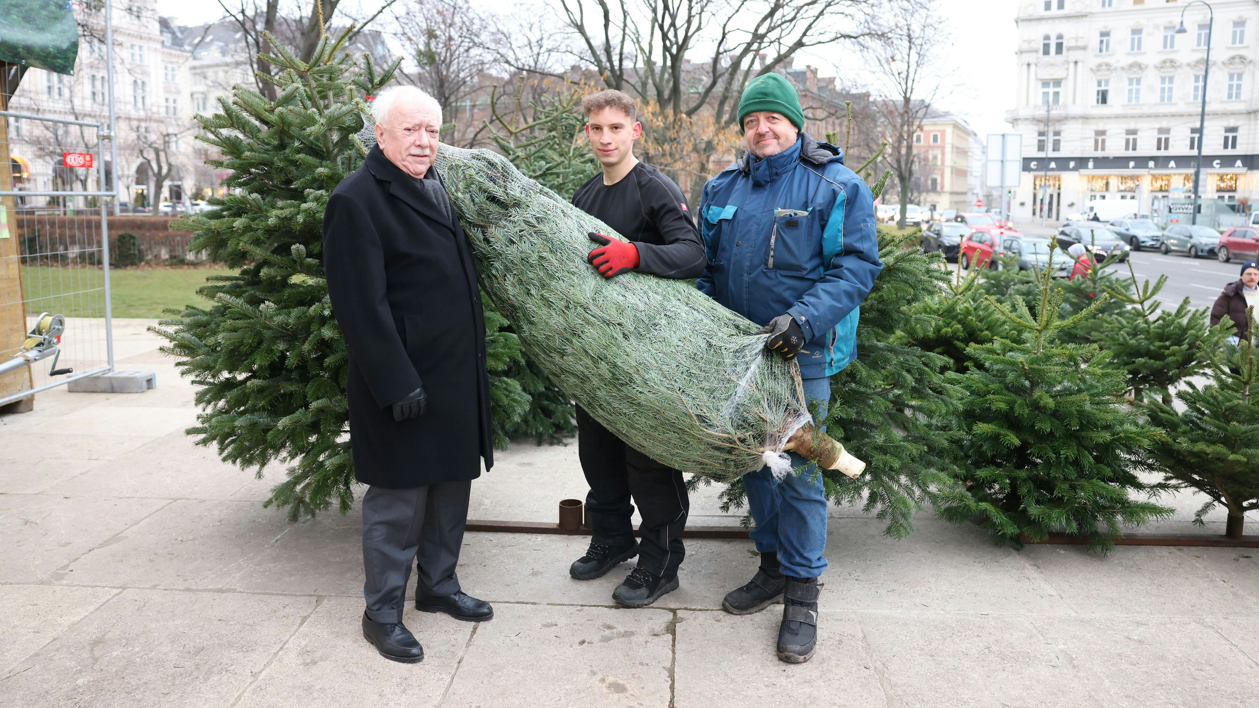 Häupl mit David Sommer und Christbaumverkäufer Markus Unterberger vor der Votivkirche in Wien.