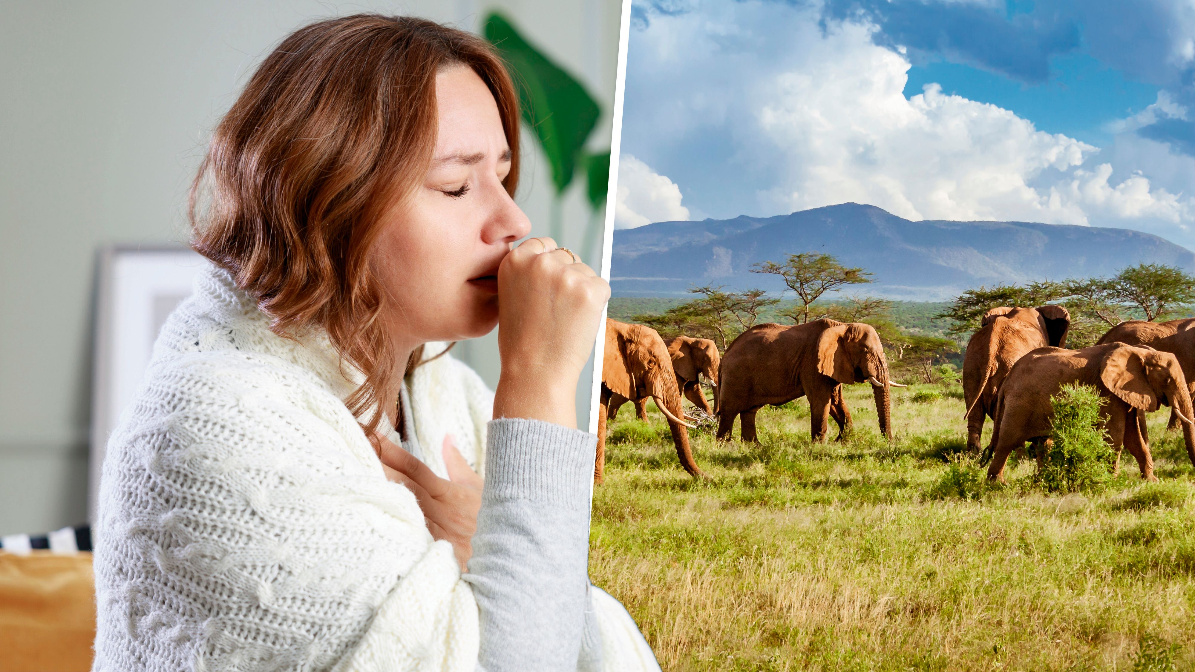 Heute.at - Während Krankenstand – ÖGK erlaubt Südafrika-Urlaub