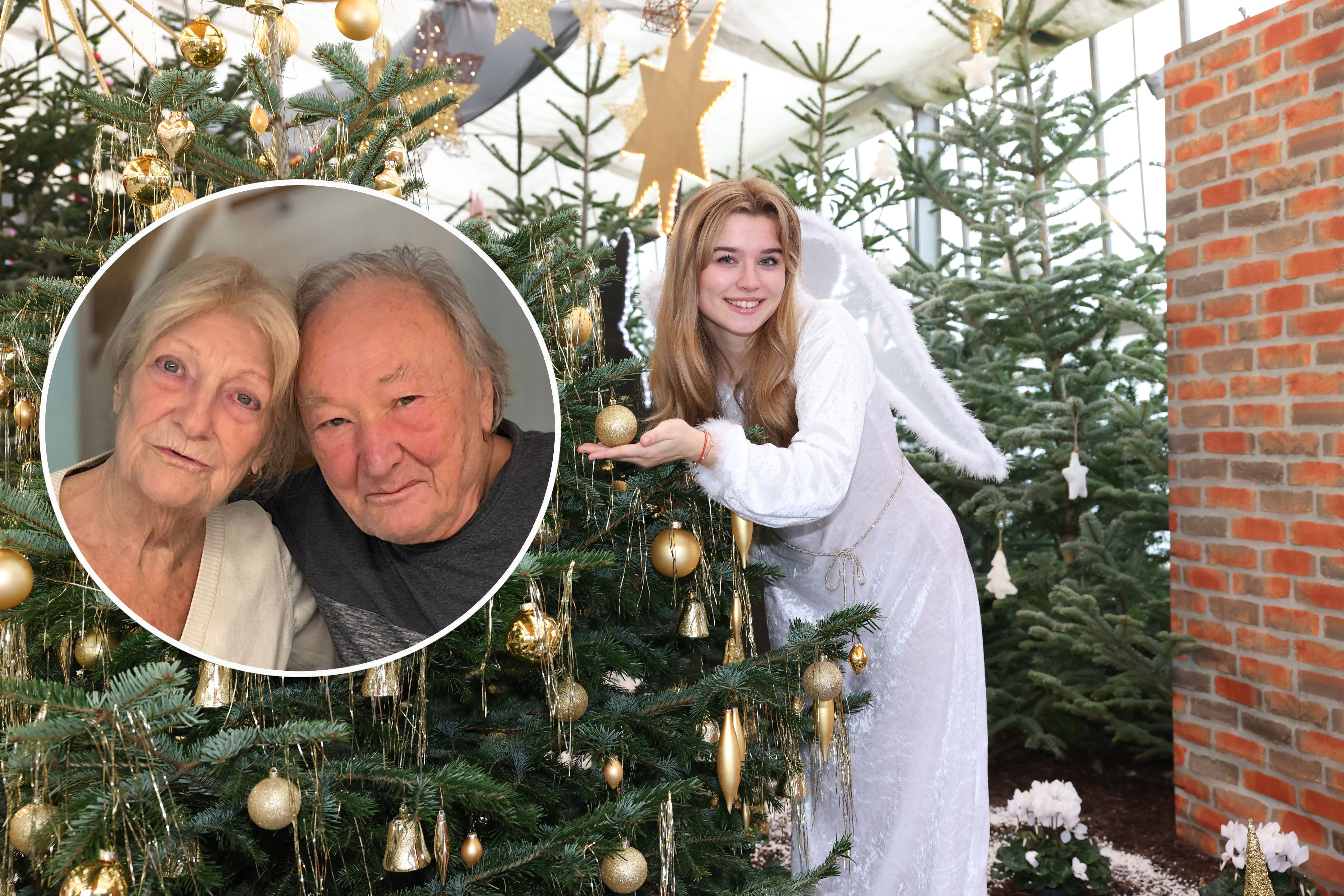 Heute.at - Feuer am Dach – Hilfe für Hertha und Günter nach Brand