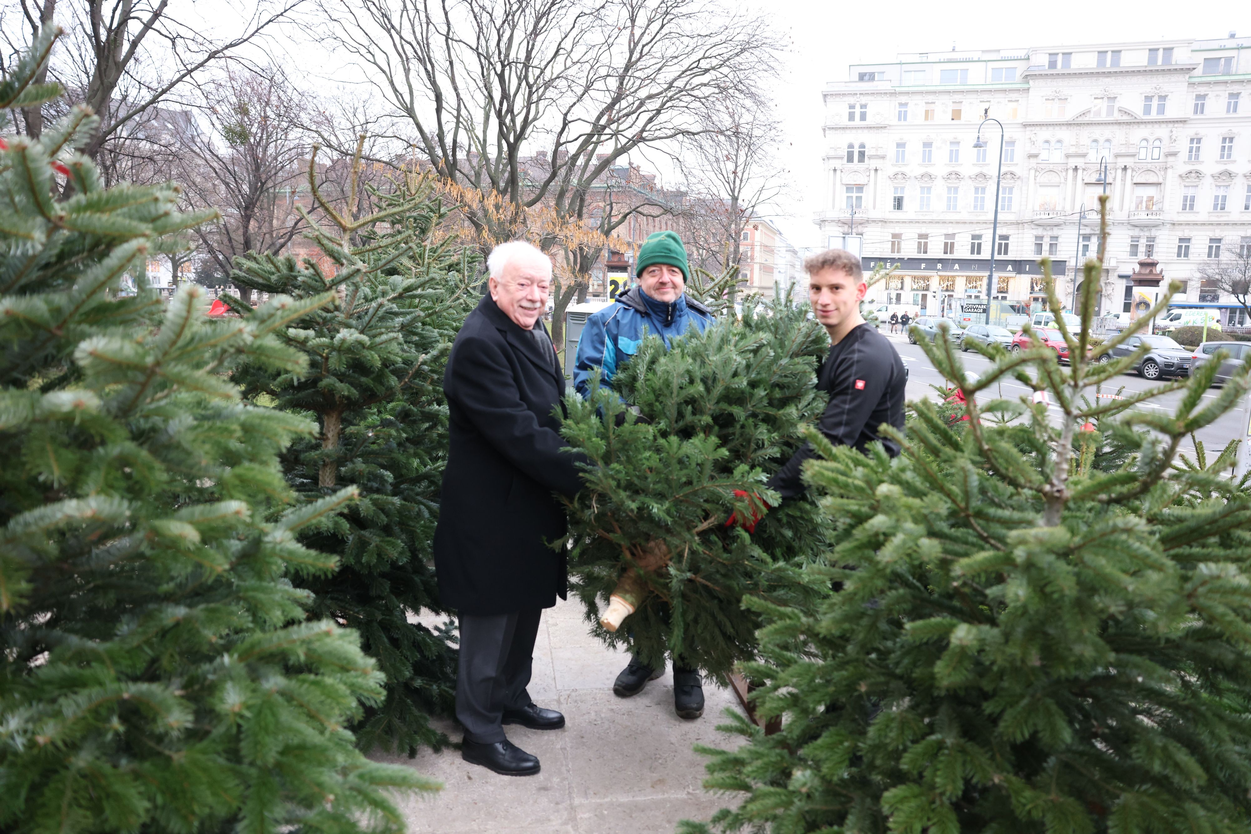 Heute.at - Waldviertler Bauer schenkt Christbäume an Bedürftige