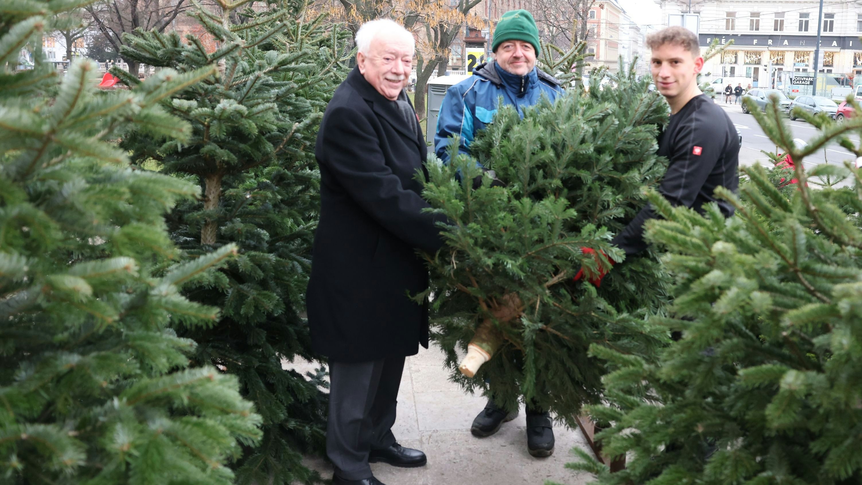 Heute.at - Waldviertler Bauer schenkt Christbäume an Bedürftige
