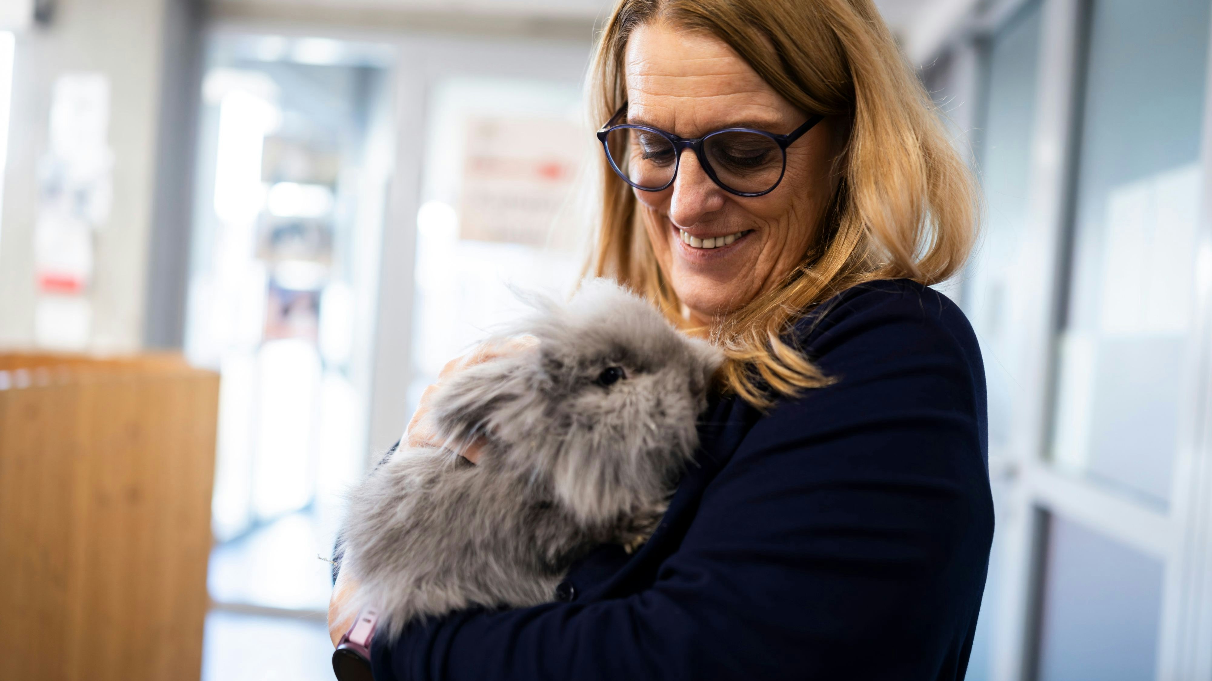 Zahlreiche&nbsp; Tiere werden in der Zeit nach Weihnachten wieder zurückgegeben.