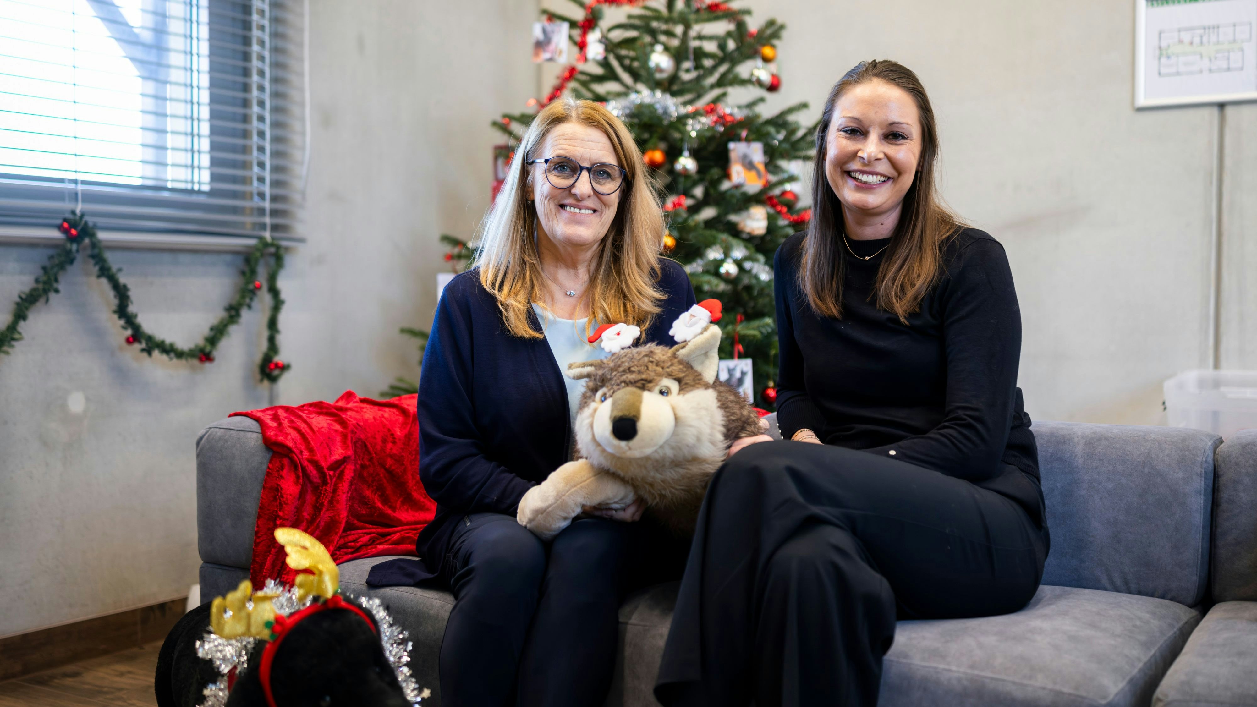 Heute.at - Kein Weihnachtsgeschenk! – Königsberger-Ludwig warnt