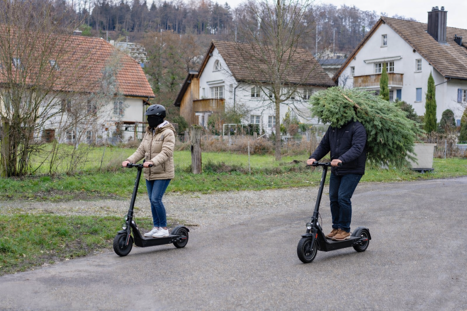 Ähnlich kurios wie auf diesem KI-generierten Foto dürfte der Transport abgelaufen sein.