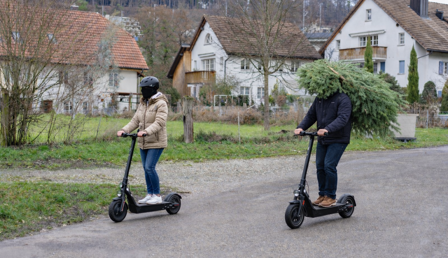 Heute.at - Betrunkenes Paar transportiert Christbaum mit E-Scooter