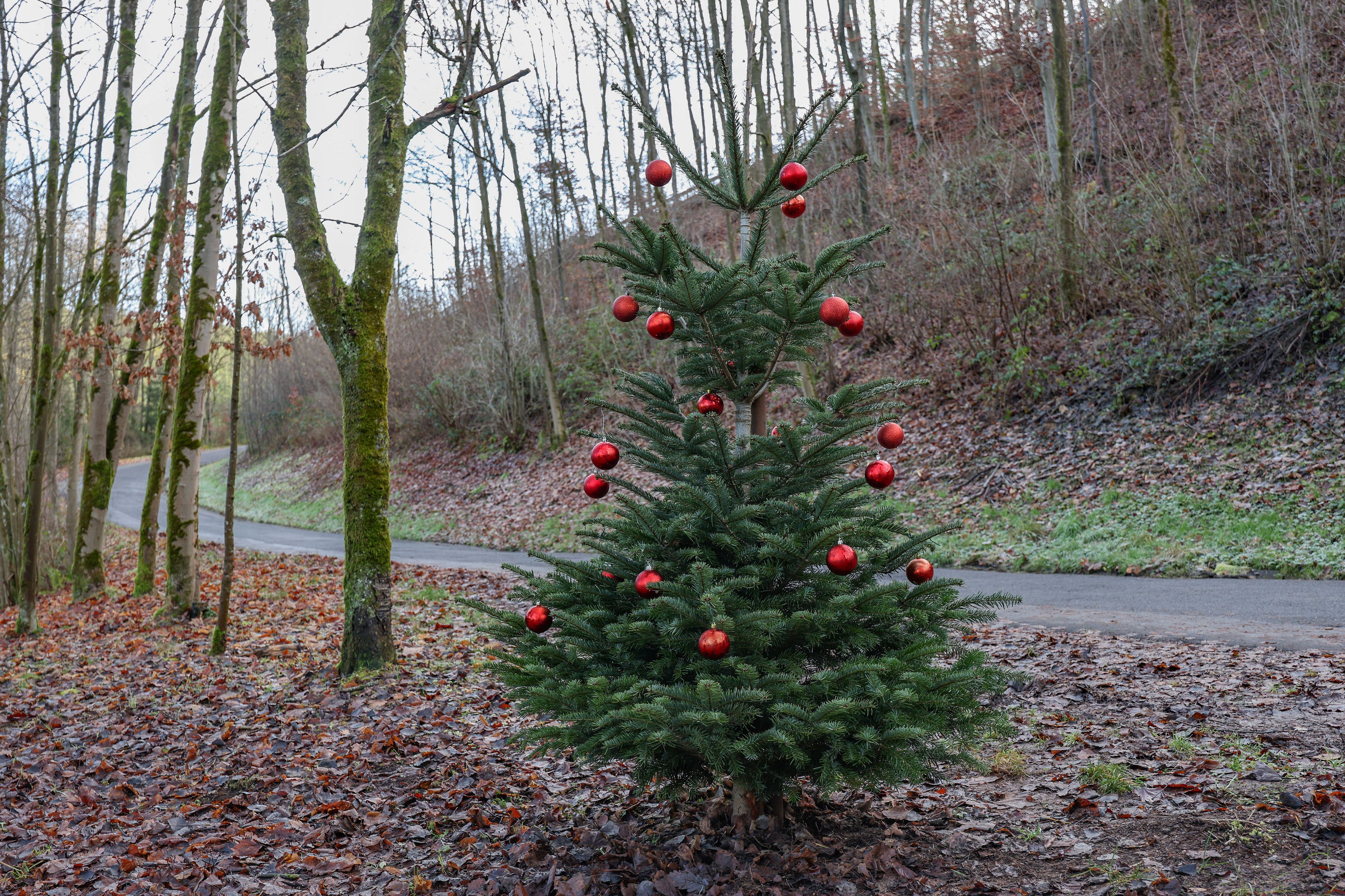 Heute.at - Es bewegt sich etwas – Meteorologe überrascht alle