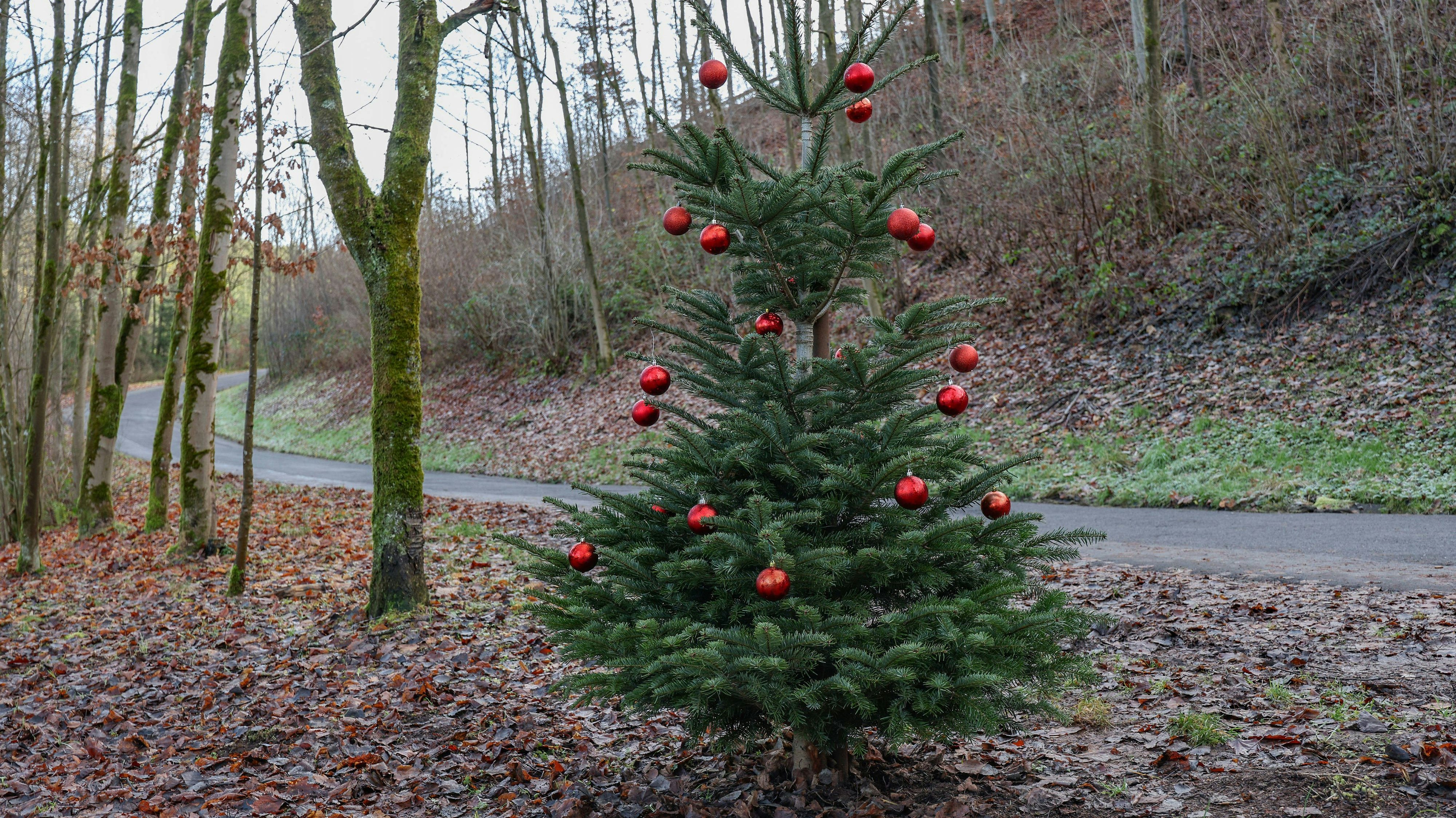 Heute.at - Es bewegt sich etwas – Meteorologe überrascht alle