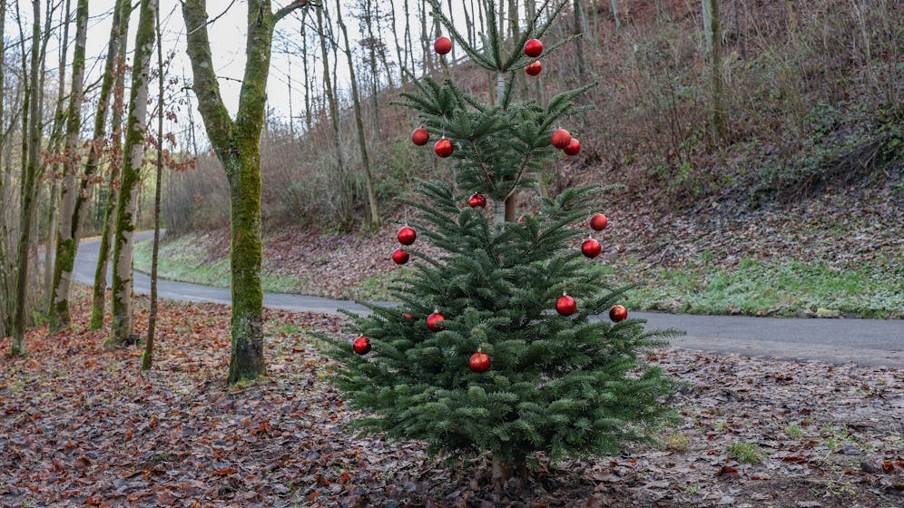 Heute.at - Es bewegt sich etwas – Meteorologe überrascht alle