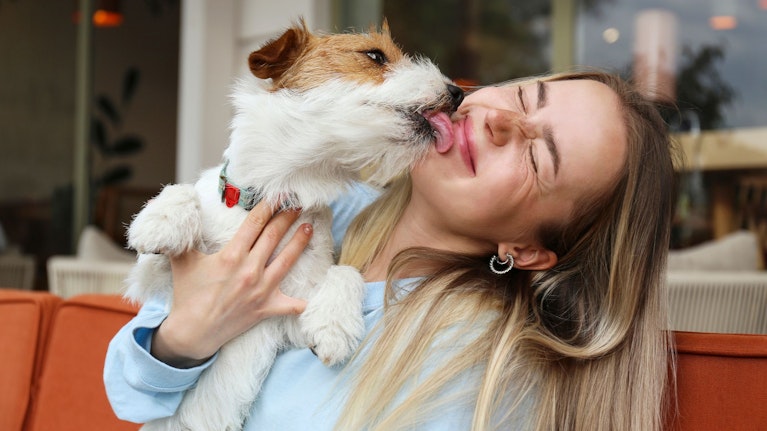 Jugendliche, die mit Hunden aufwachsen, sind sozial aufgeschlossener und verträglicher als Teenager aus hundelosen Elternhäusern. Verantwortlich dafür sind spezielle Mikroben, die im Darm sitzen und das Gehirn beeinflussen. Das legt eine japanische Studie nahe.