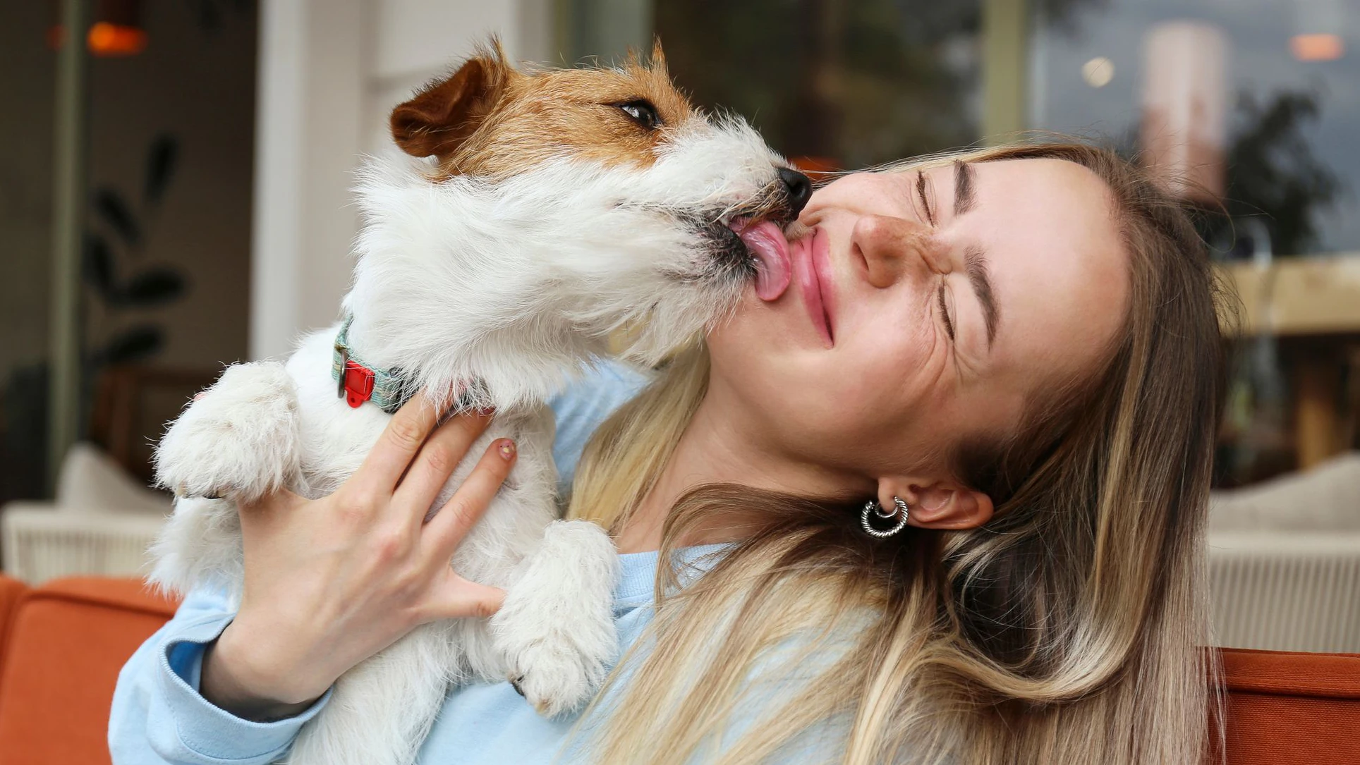 Wer mit Hunden aufwächst, ist sozial verträglicher