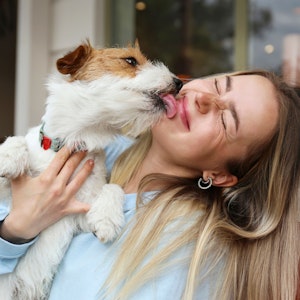 Das Geheimnis liegt im Darm: Deshalb machen uns Hunde sozialer