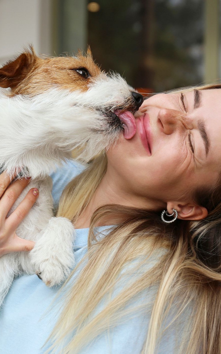 Das Geheimnis liegt im Darm: Deshalb machen uns Hunde sozialer