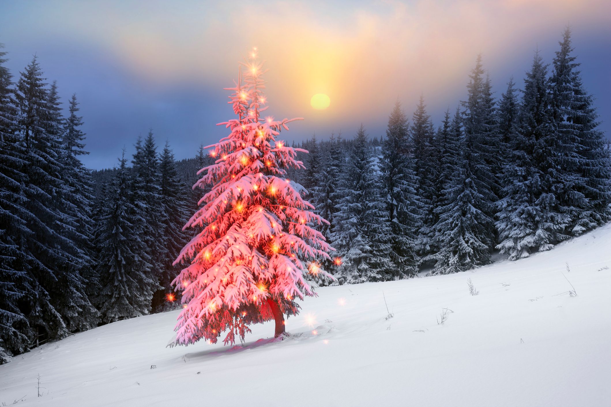 Heute.at - Weiße Weihnachten! Neue Karte zeigt, wo Schnee kommt