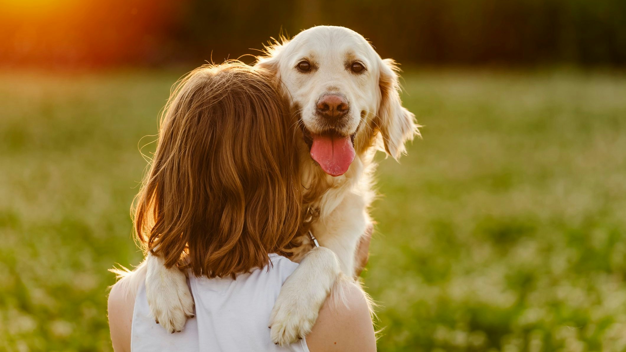 Die Ergebnisse der Hundetests wurden mit Mäusetests bestätigt