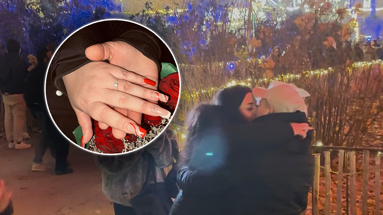 Heute.at - Weihnachtszauber! Heiratsantrag in Wien berührt Herzen