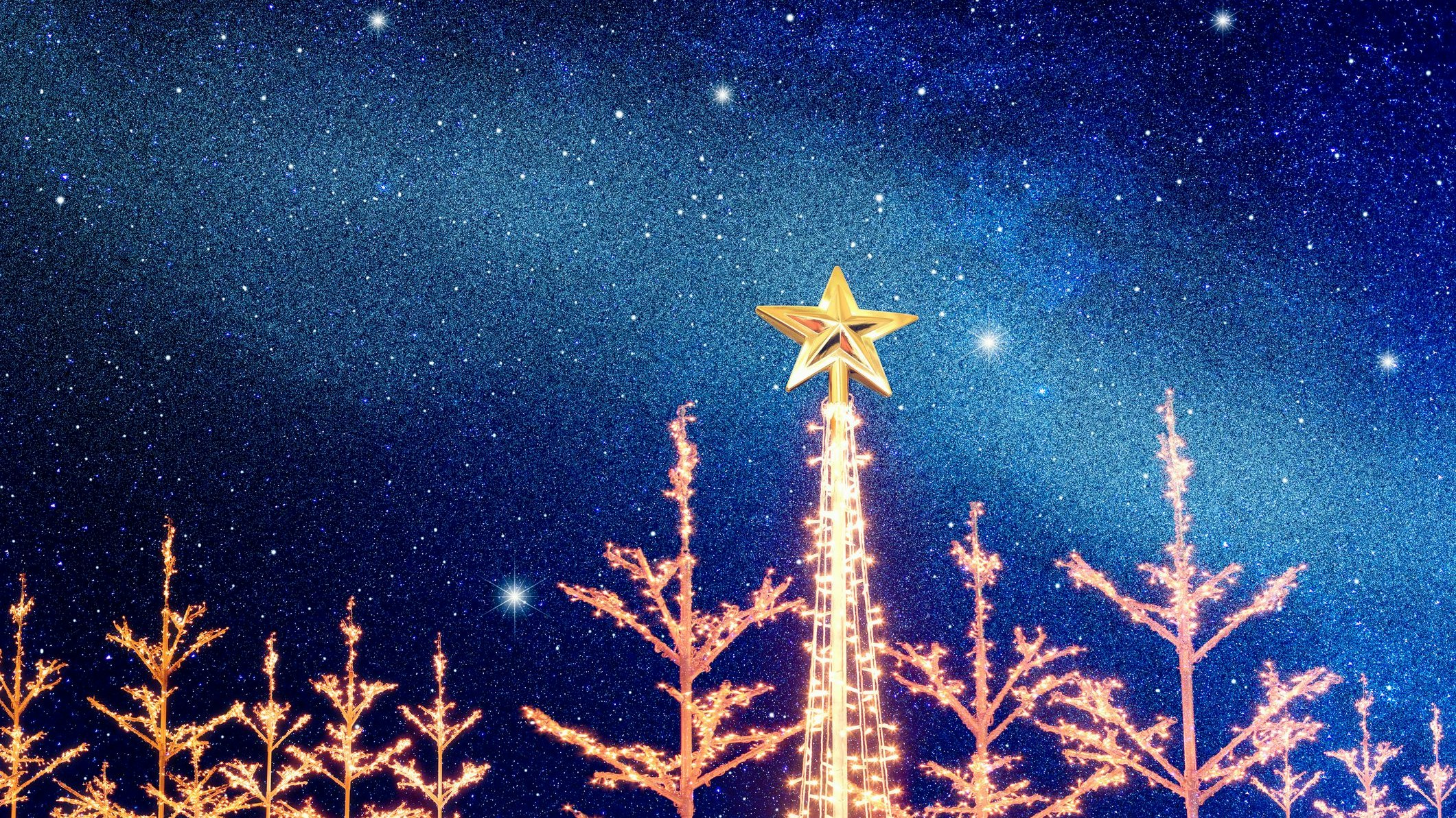 Heute.at - Für dieses Sternzeichen wird der Heilige Abend magisch