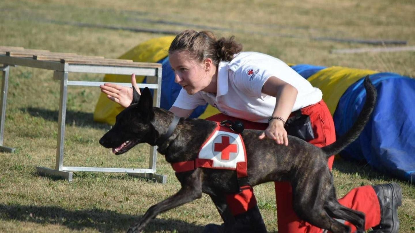 Heute.at - Beste Nase! Hündin Fanny findet vermisste Seniorin