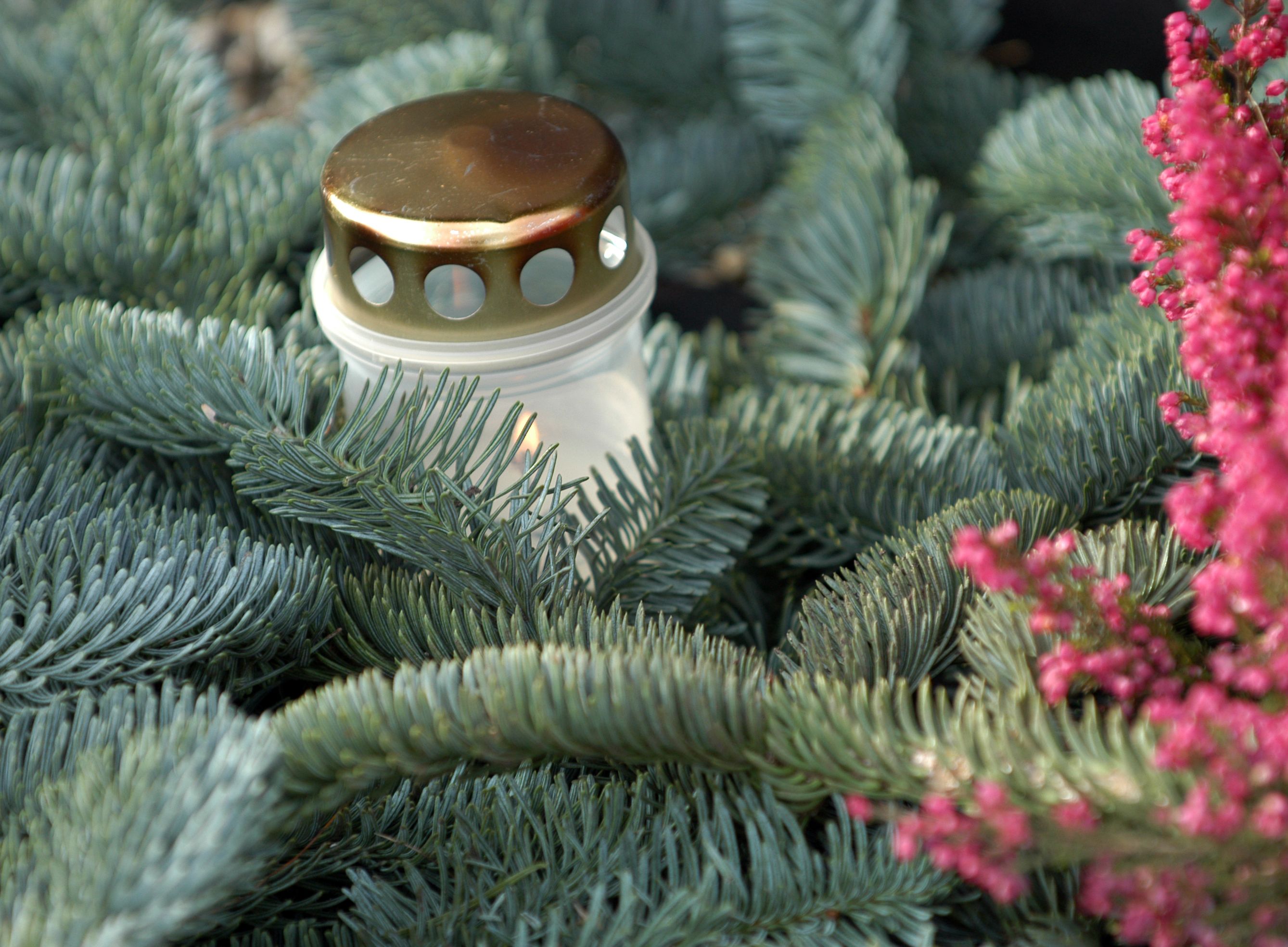 Heute.at - Christbaum von Grab gestohlen! Familie hofft auf Wunder