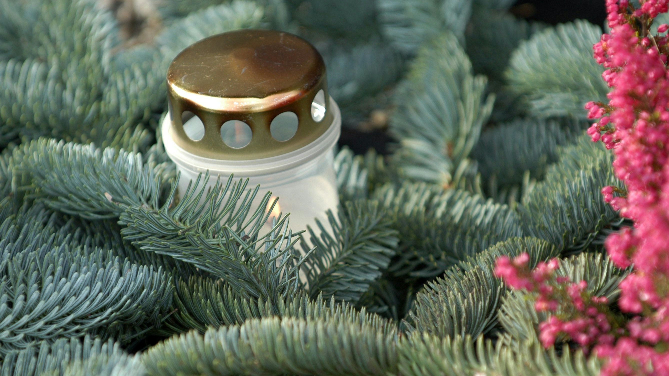 Heute.at - Christbaum von Grab gestohlen! Familie hofft auf Wunder