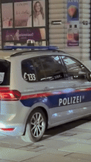 Festnahme in Wiener Casino: Mann bedroht Security, Polizei greift ein. Leser-Video zeigt dramatischen Einsatz am Freitagabend in der City.