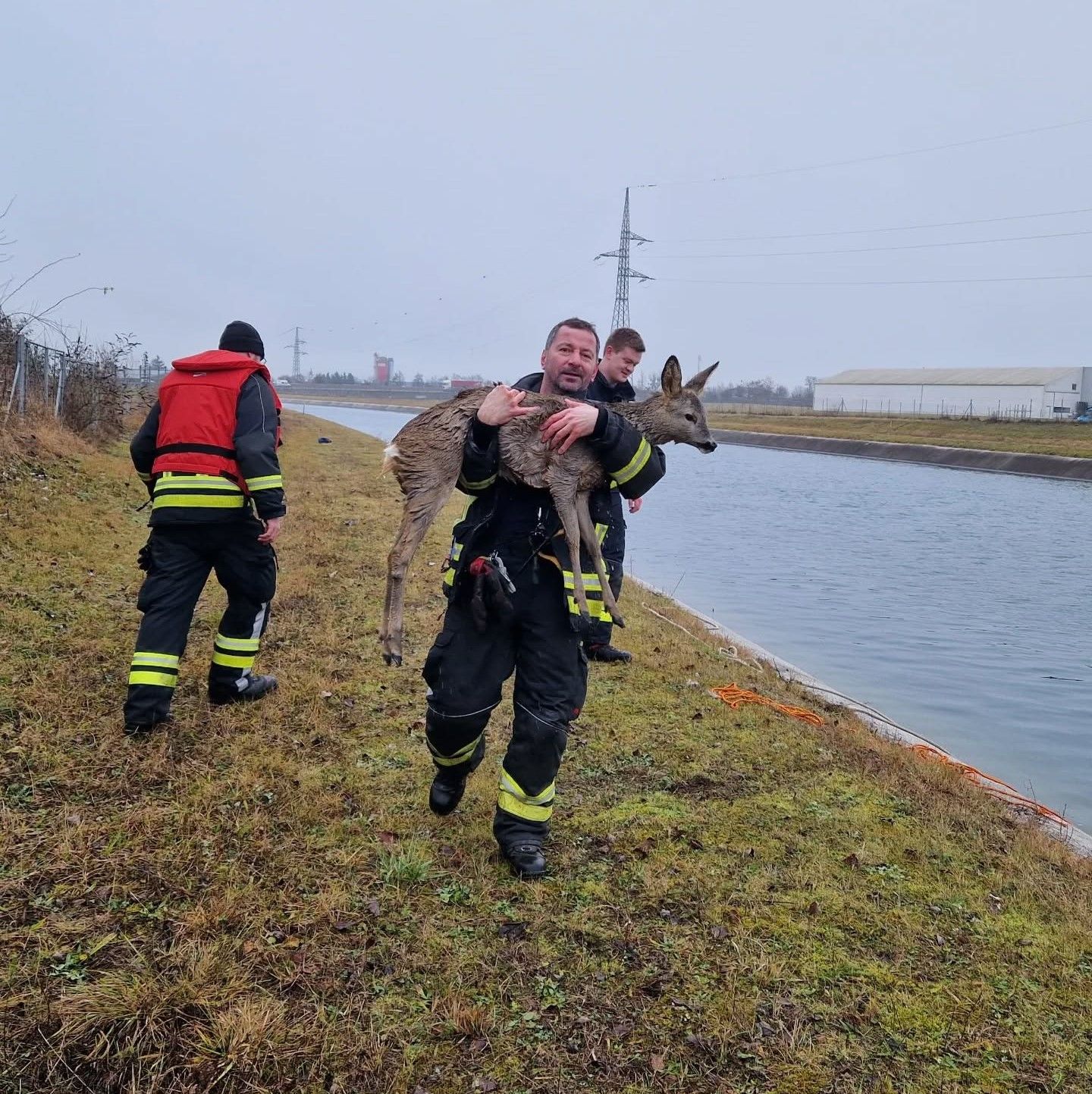 Das gerettete Reh und Einsatzkräfte der Feuerwehr