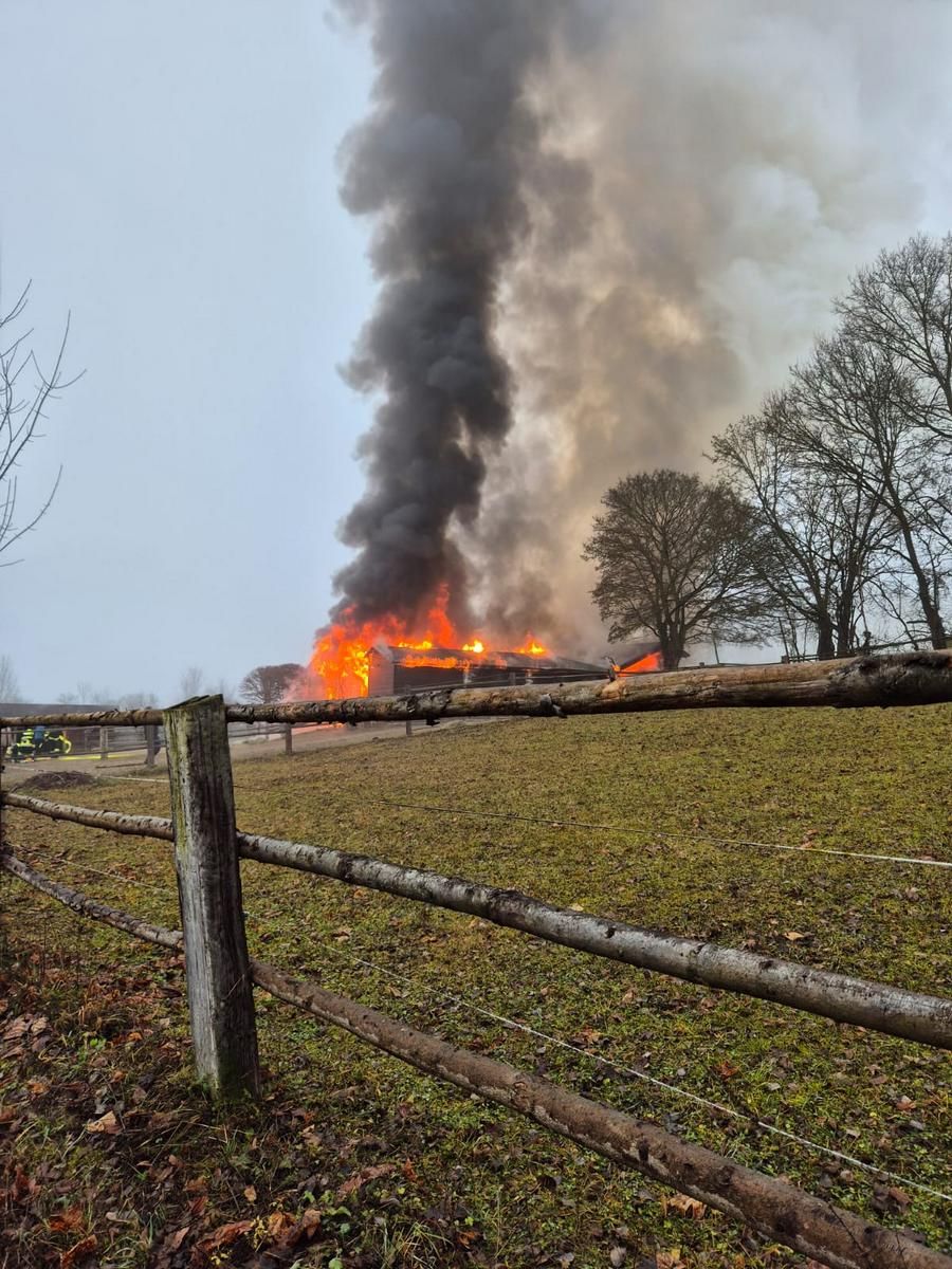 Brand eines Pferdestalles in Ofenbach