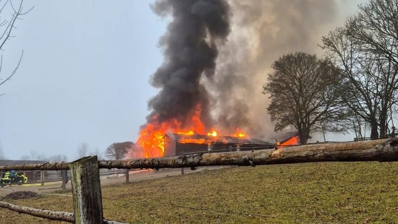 Brand eines Pferdestalles in Ofenbach