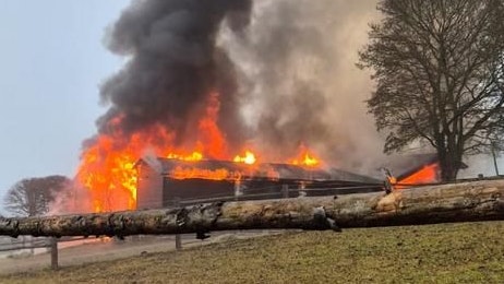 Heute.at - Pferdestall in NÖ geht plötzlich in Flammen auf