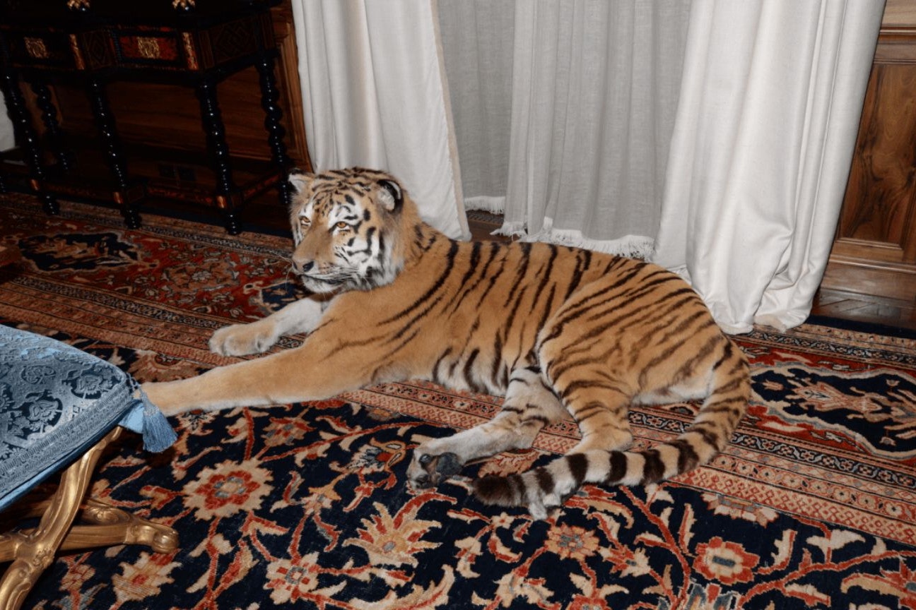 Dieser ausgestopfte Tiger lag in einem Zimmer in Epsteins New Yorker Stadthaus