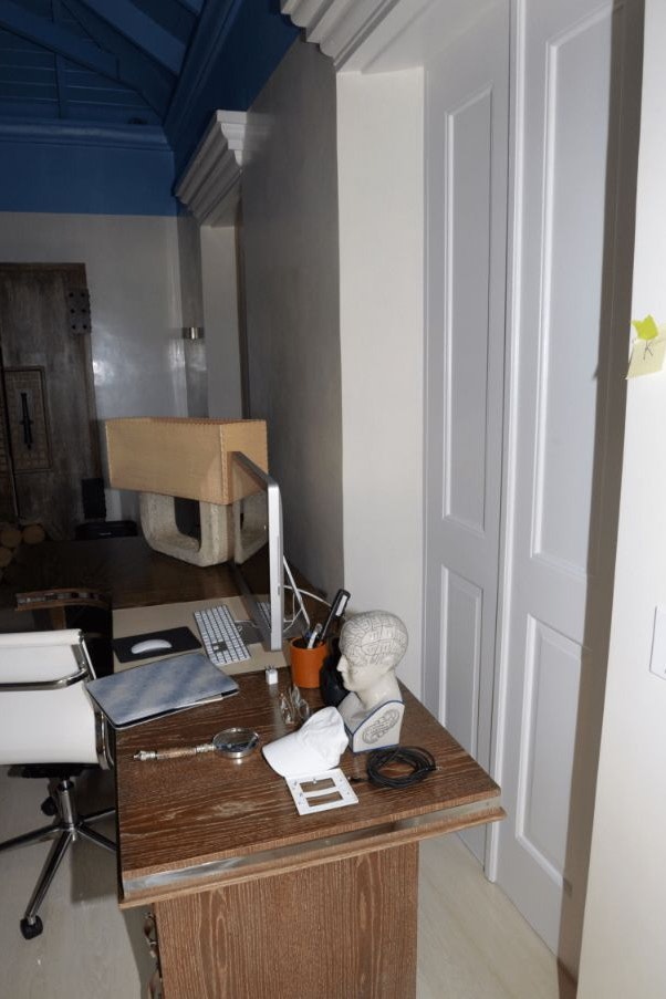 Die Phrenologie-Büste fand sich auf Epsteins Schreibtisch in seinem Karibik-Anwesen