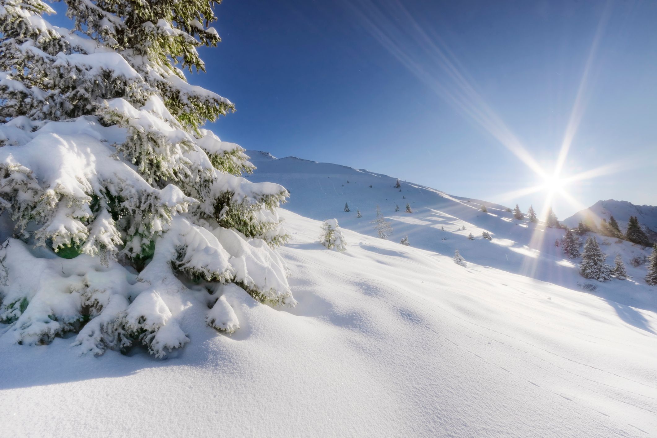 Heute.at - Italientief bringt Winterstimmung am Heiligen Abend