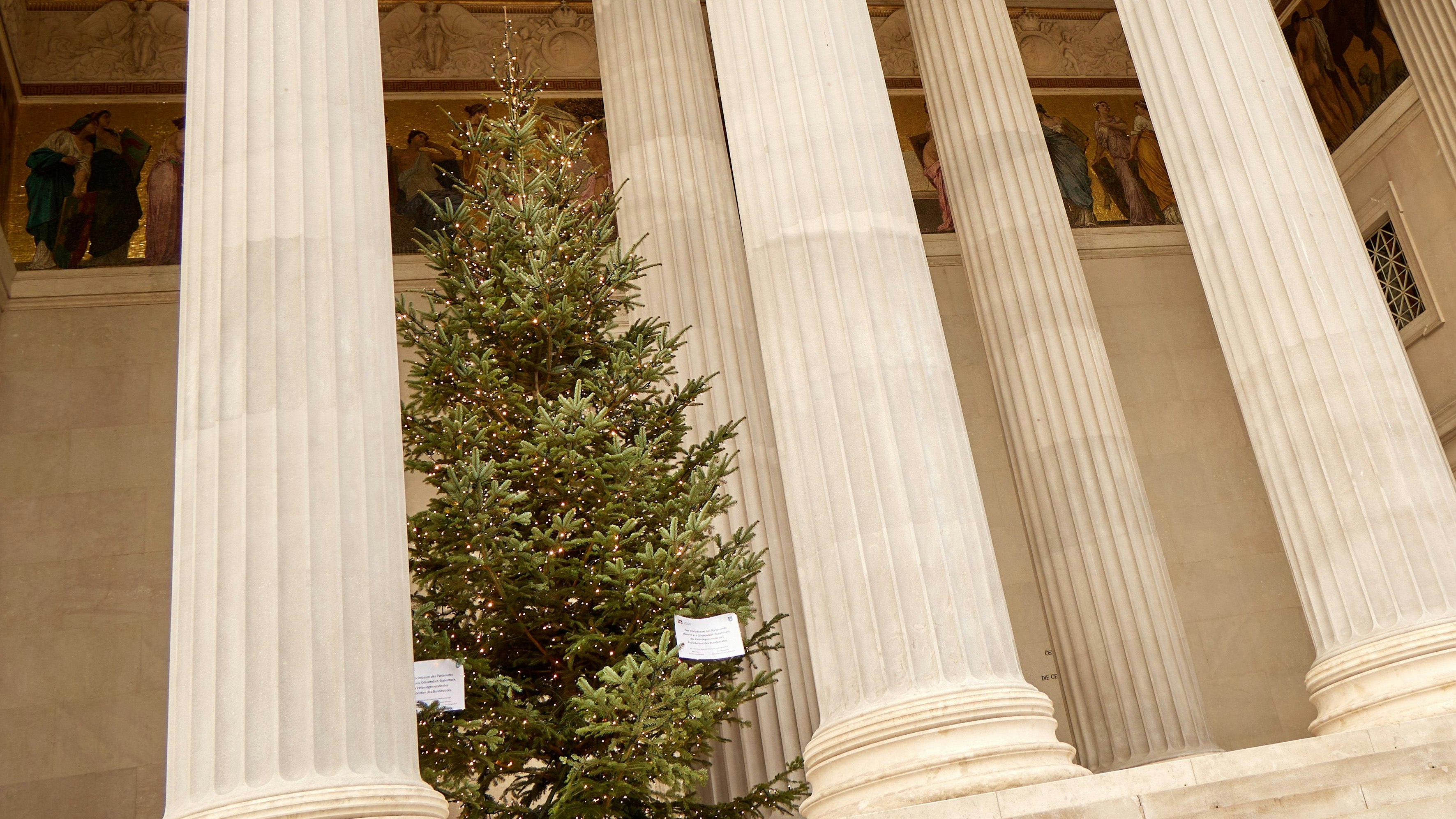 Heute.at - So feiern unsere Politiker heuer Weihnachten