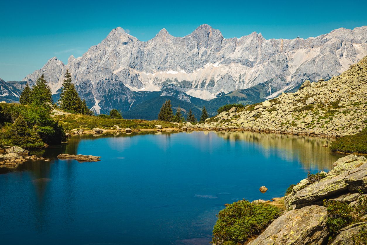 Heute.at - Chlor im Wasser! Tausend Tiere sterben in der Ramsau