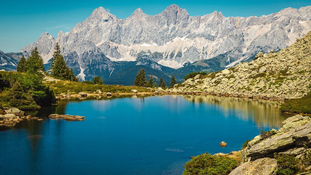 Heute.at - Chlor im Wasser! Tausend Tiere sterben in der Ramsau