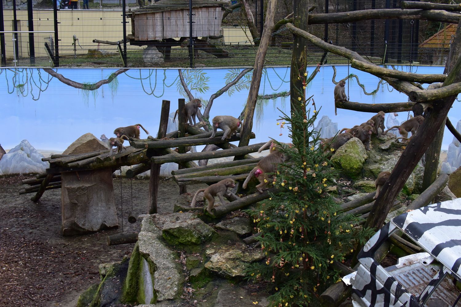 Heute.at - Warten aufs Christkind – das wird in NÖ geboten