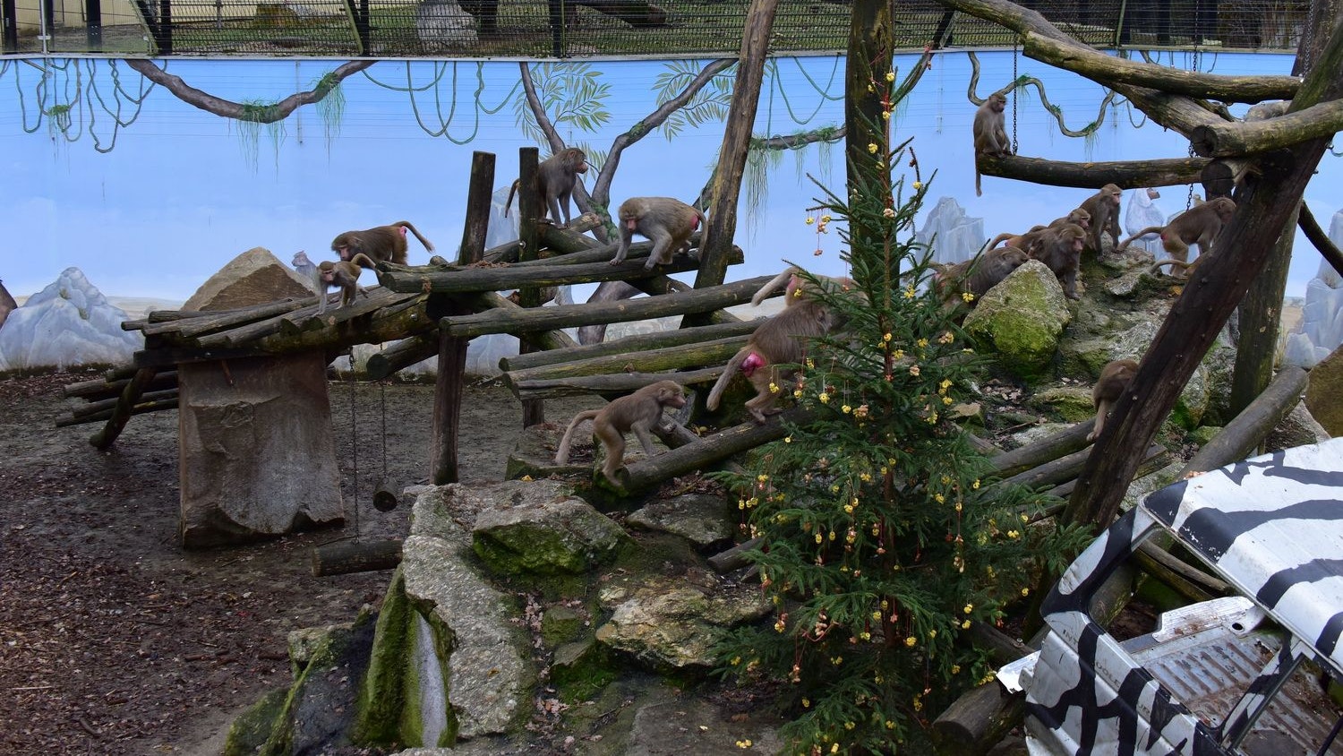 Heute.at - Warten aufs Christkind – das wird in NÖ geboten