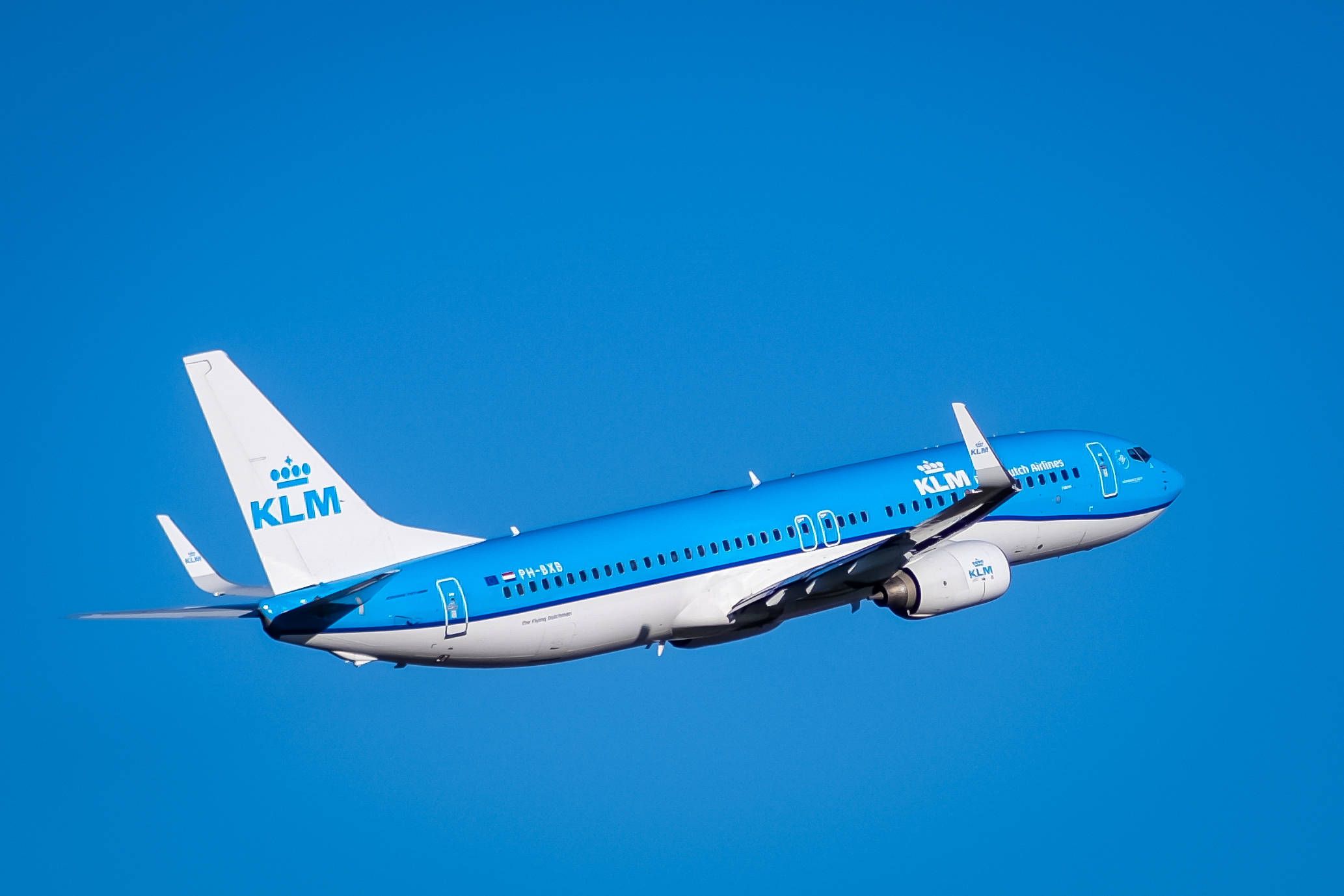 Heute.at - Ratte im Flieger – Passagiere stranden in Karibik