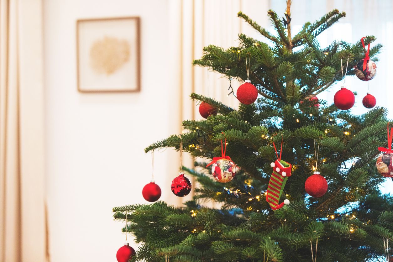 Heute.at - Immun-Booster im Wohnzimmer – Wie Tannenduft uns guttut