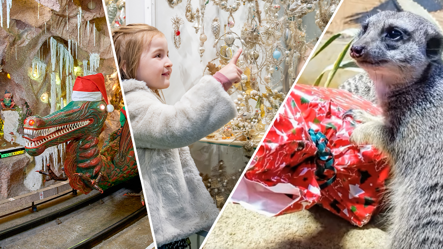 Heute.at - Warten aufs Christkind: So vergeht die Zeit wie im Flug