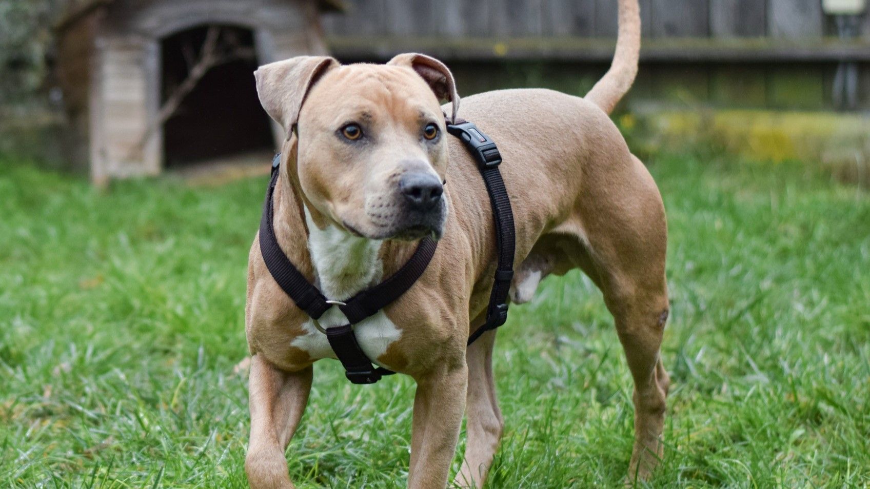 Heute.at - Beni will doch einfach nur lernen und lieb haben