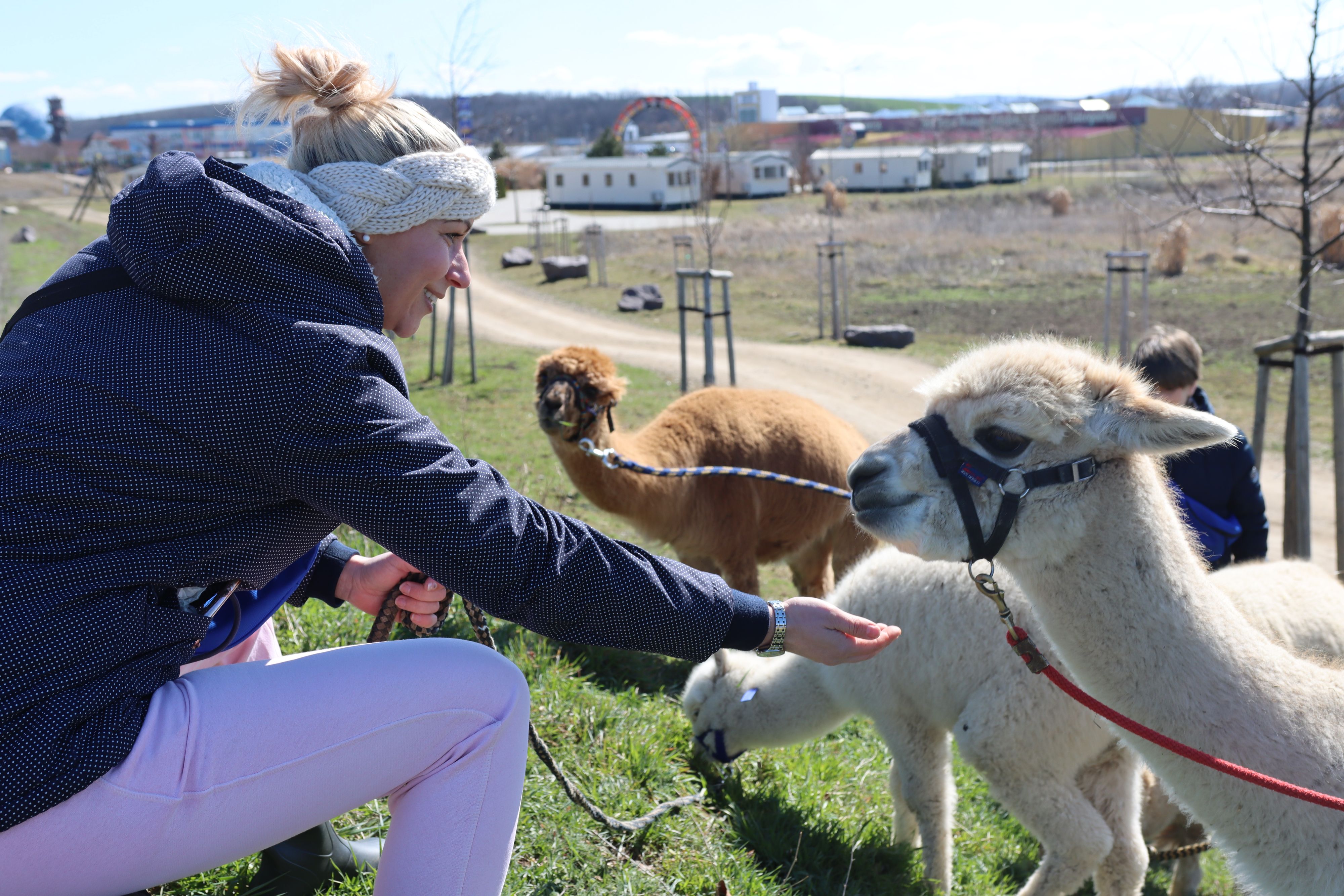 Heute.at - Ferien zu Weihnachten: So können Tage genutzt werden