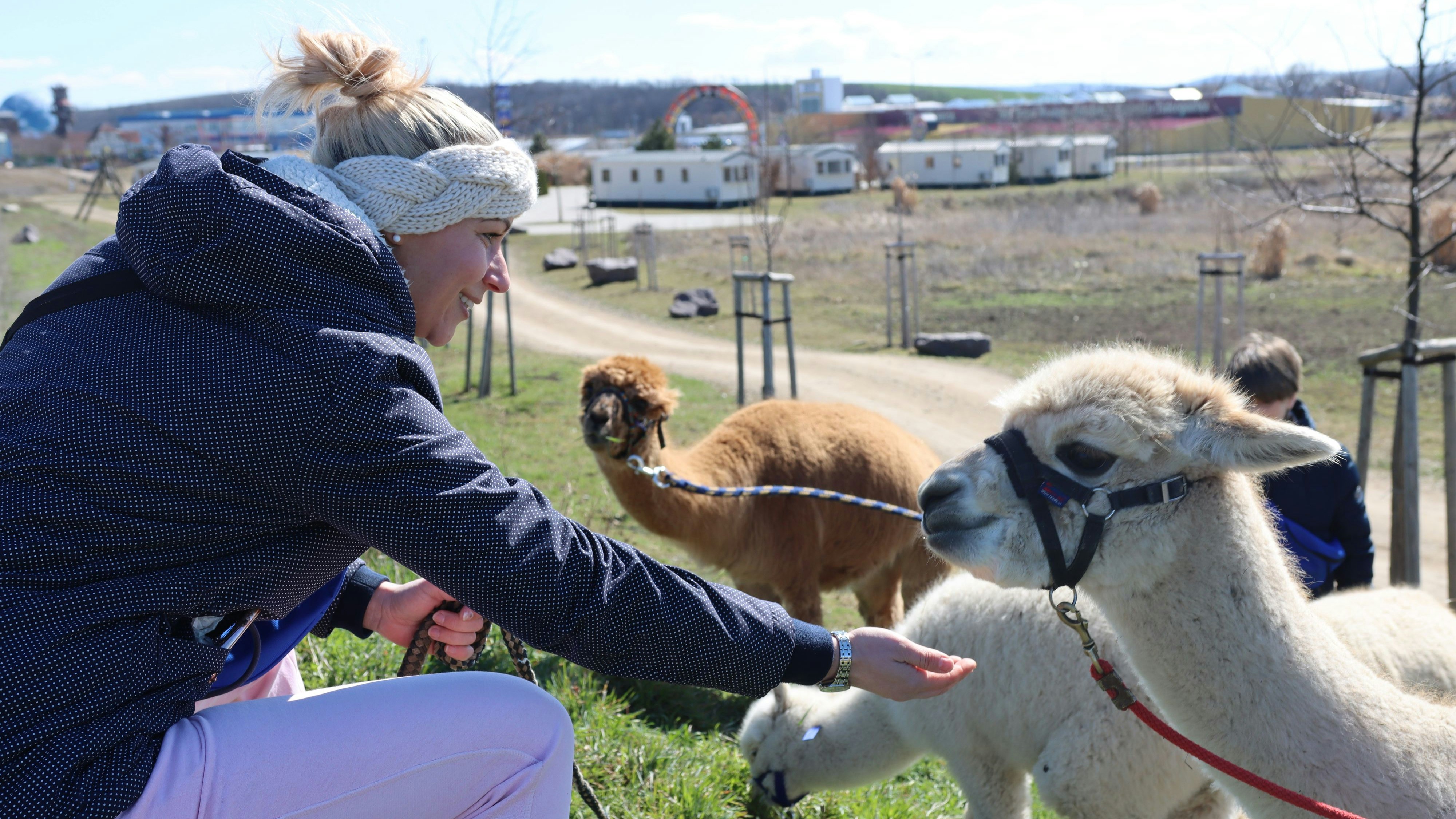 Heute.at - Ferien zu Weihnachten: So können Tage genutzt werden