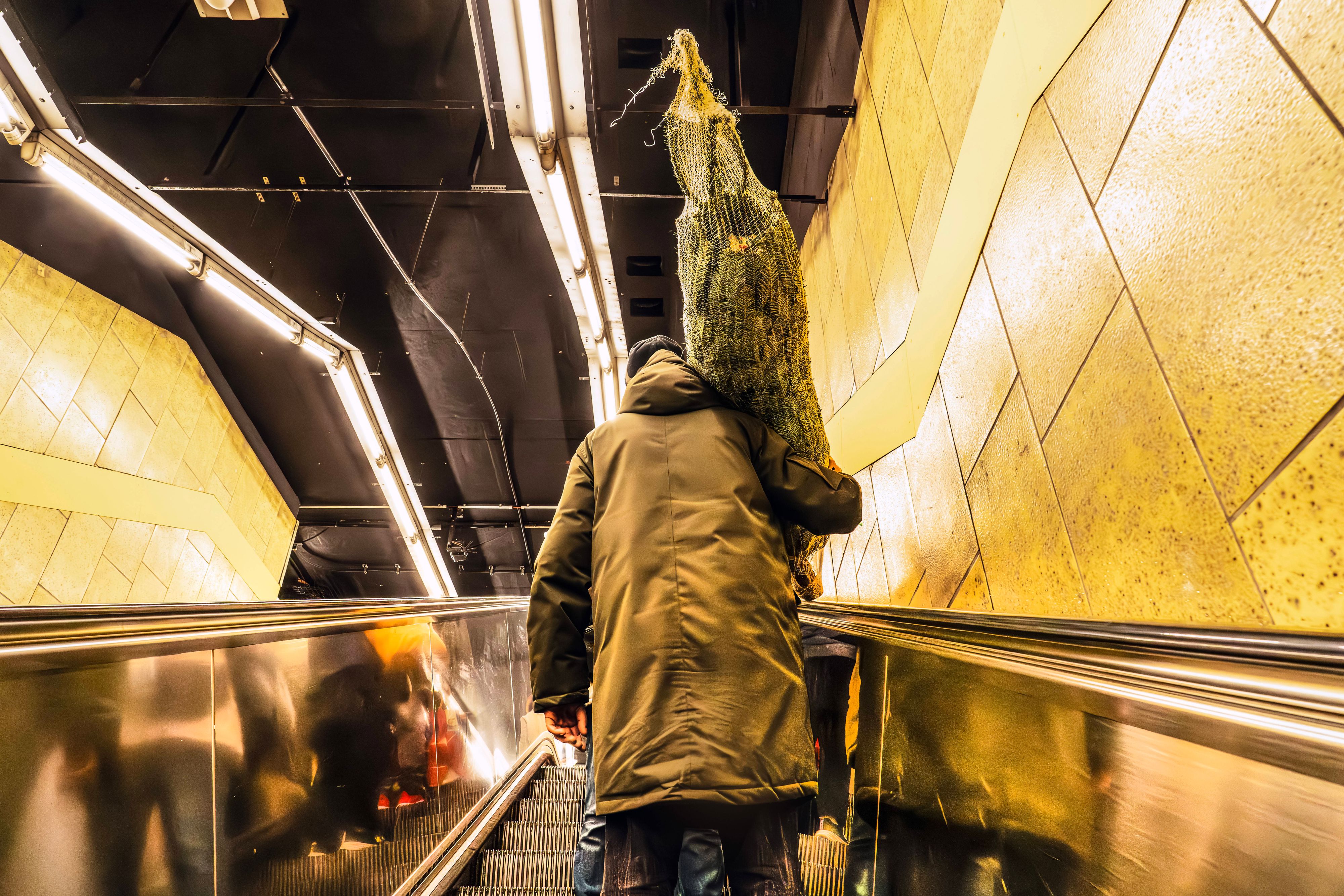 Heute.at - Mit Christbaum in den Öffis? Das solltest du beachten