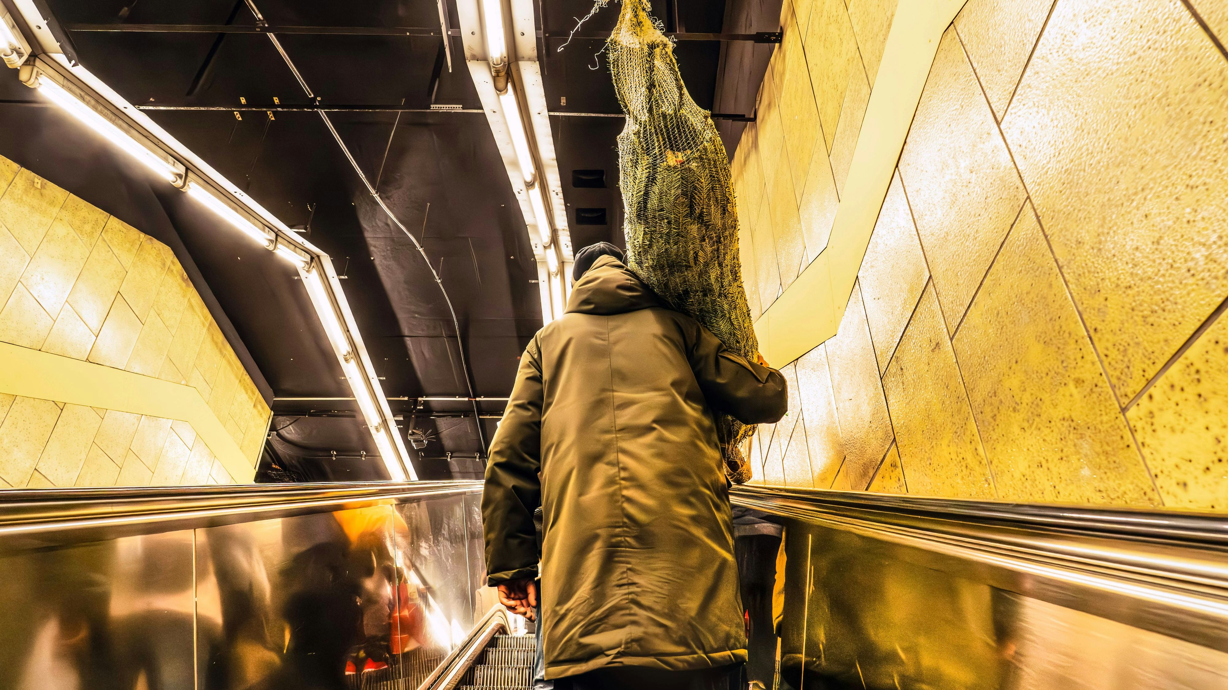 Heute.at - Mit Christbaum in den Öffis? Das solltest du beachten