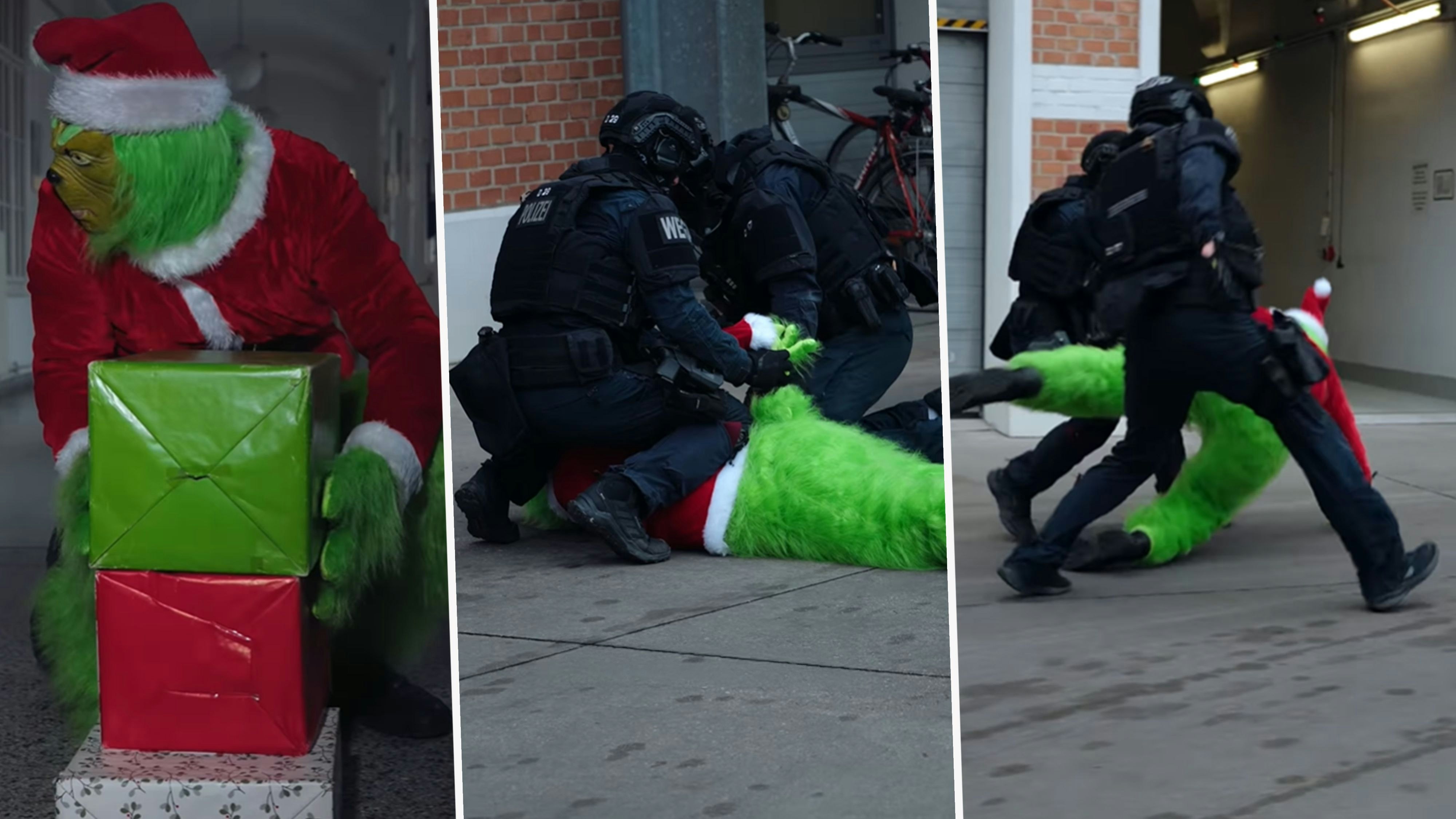 Heute.at - Grinch fladert Geschenke – WEGA schnappt ihn