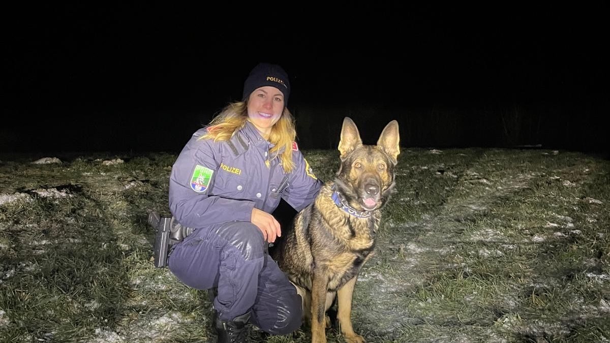 Heute.at - Diensthund Puck fasst am Christtag Tresor-Einbrecher