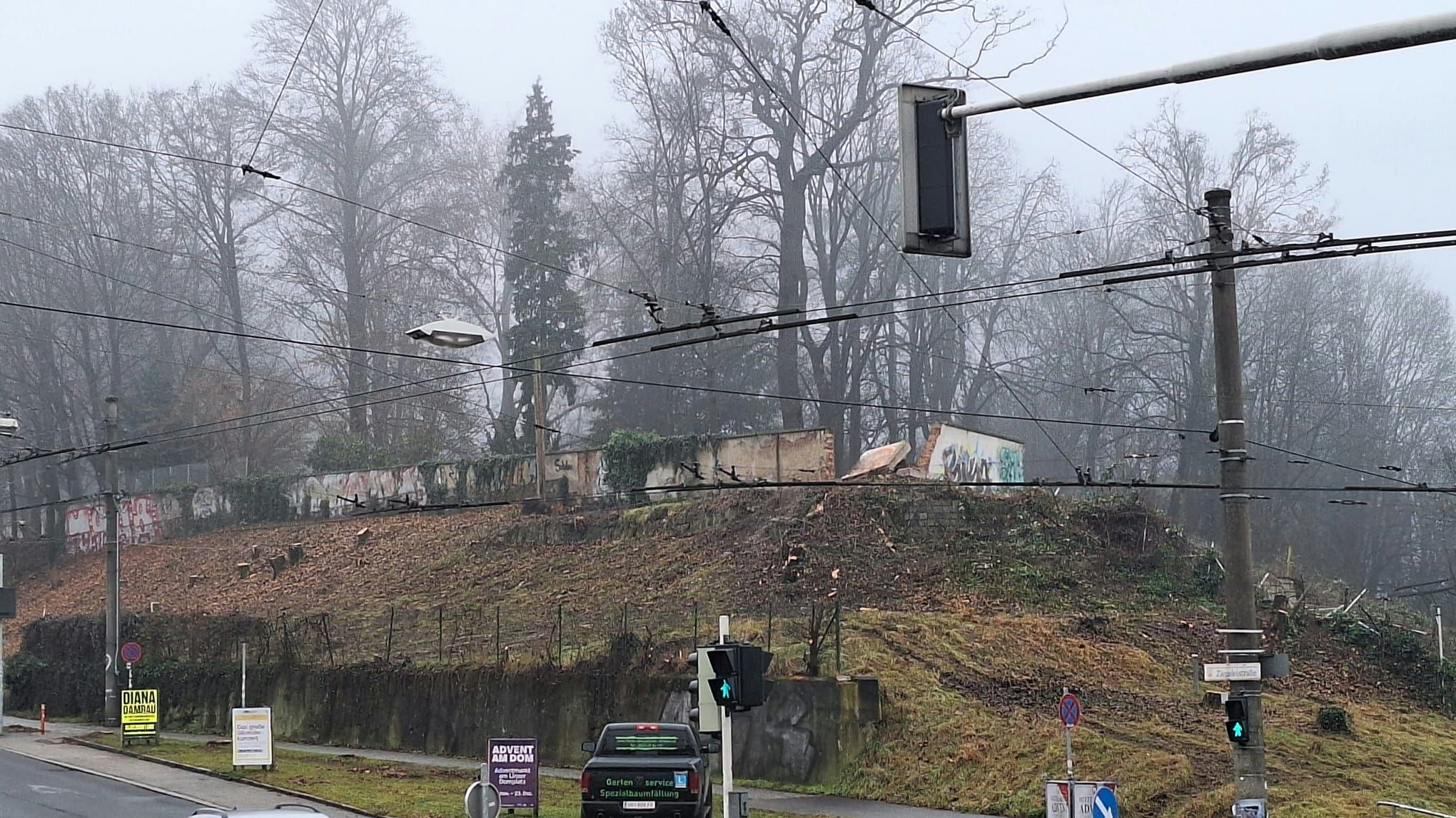 Heute.at - Akt der Respektlosigkeit – Grabkerzen kamen in Müll